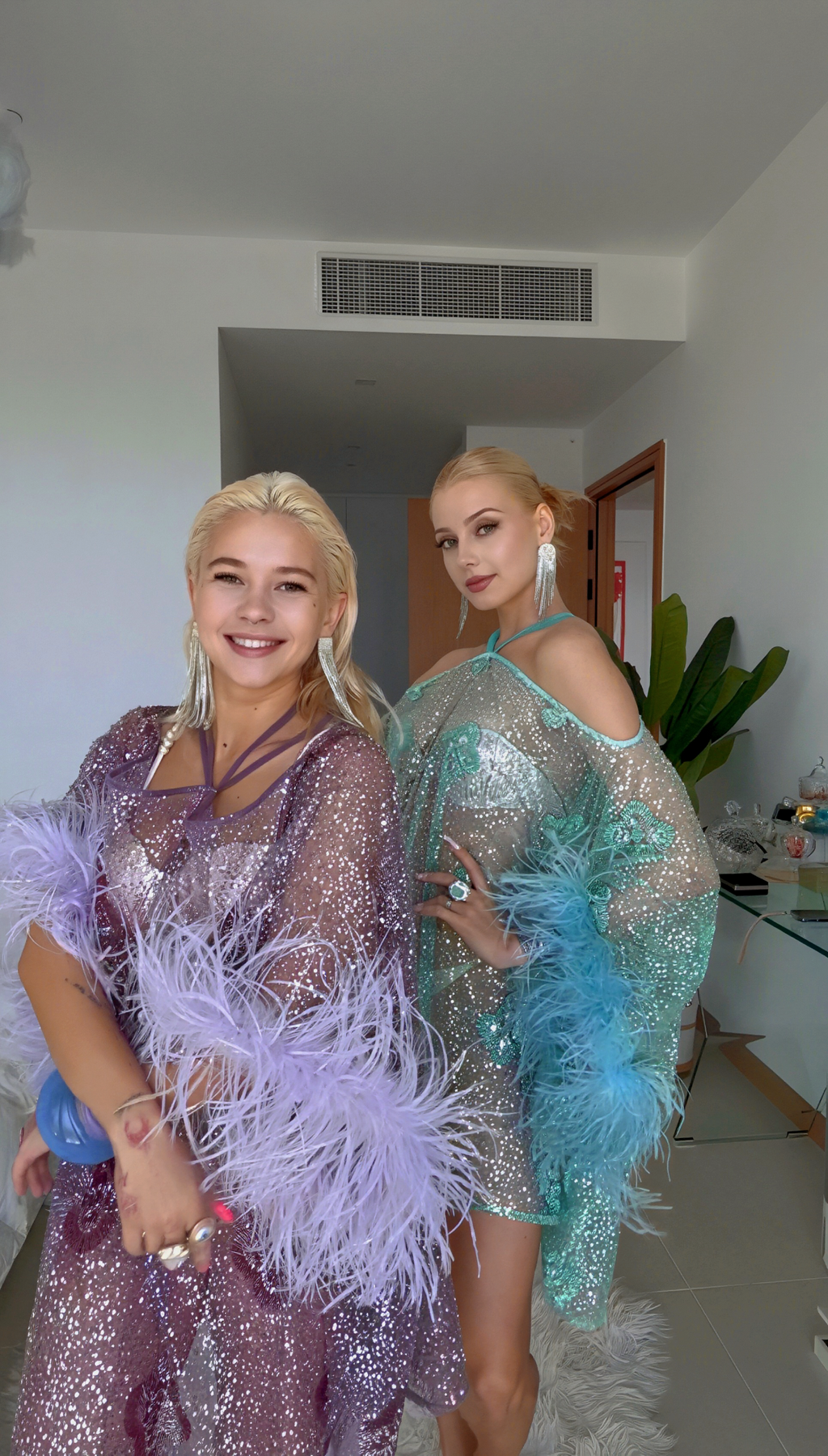 Aurora Feather Dress